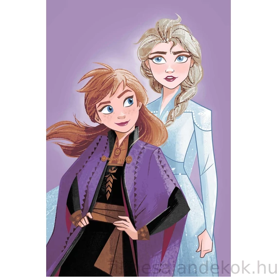 Disney Jégvarázs Purple mikroflanel takaró 100x150cm