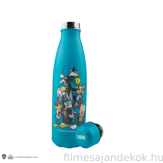 Looney Tunes x Hogwarts Rozsdamentes Acél Kulacs – Warner Bros 100. évfordulós kiadás