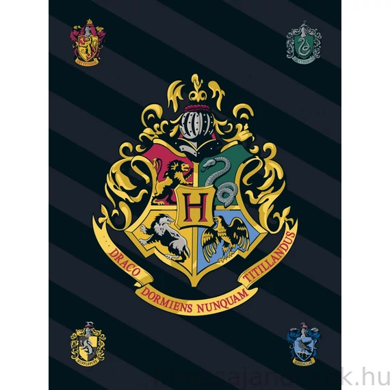 Harry Potter polár takaró 100*140cm