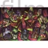 Disney Gonoszok Cards 1500 db-os Compact puzzle Clementoni